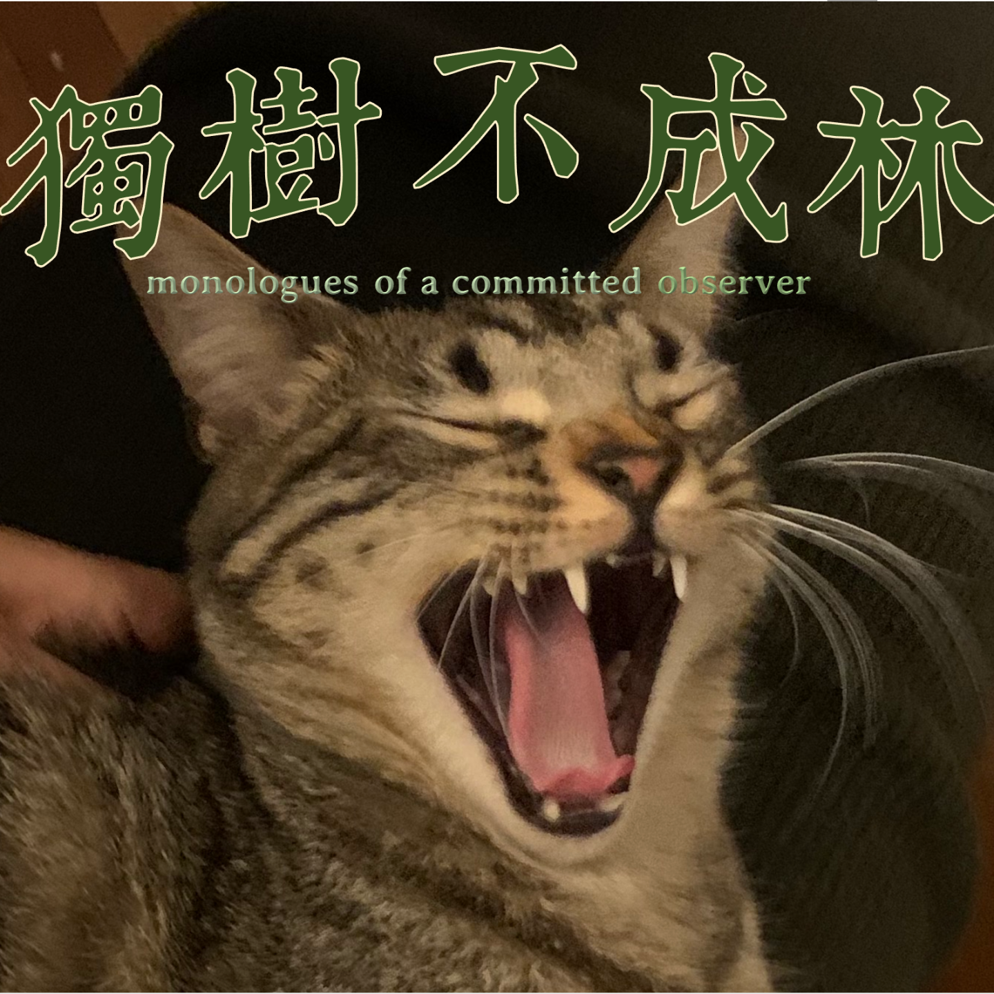 69 - 親に対する憎しみをどうやって手放せばいいのか?